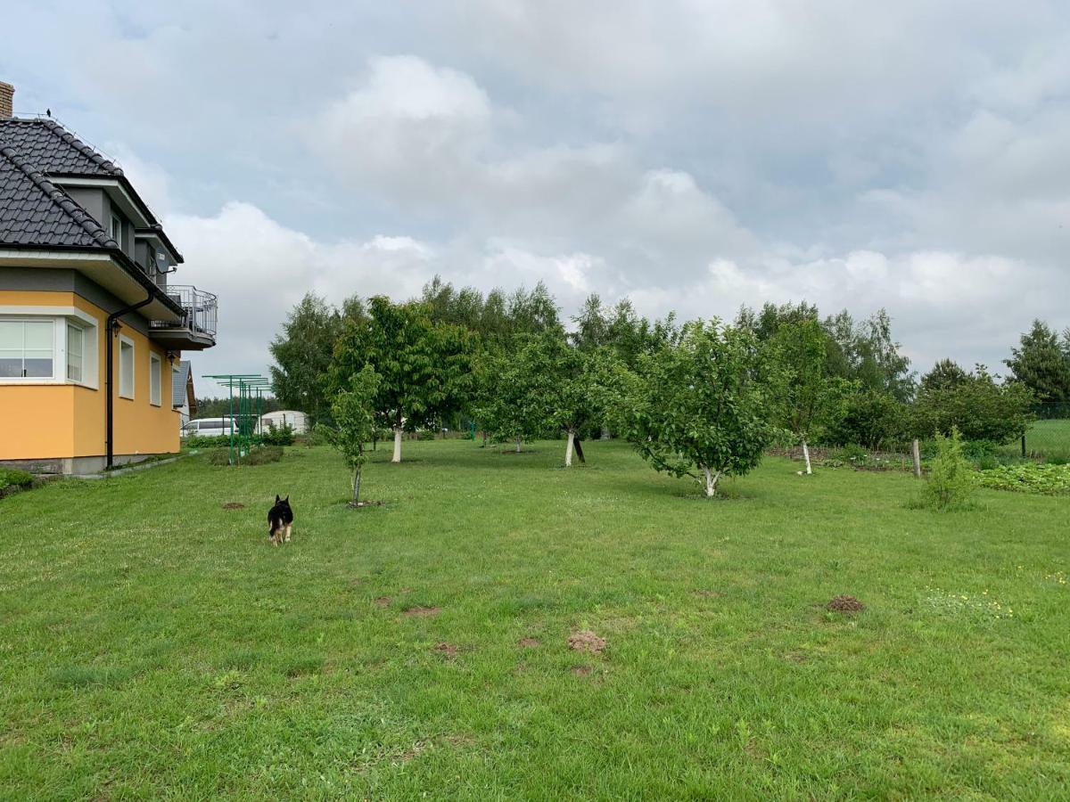 Agroturystyka Nad Wielkim Szelagiem Stare Jablonki Ngoại thất bức ảnh